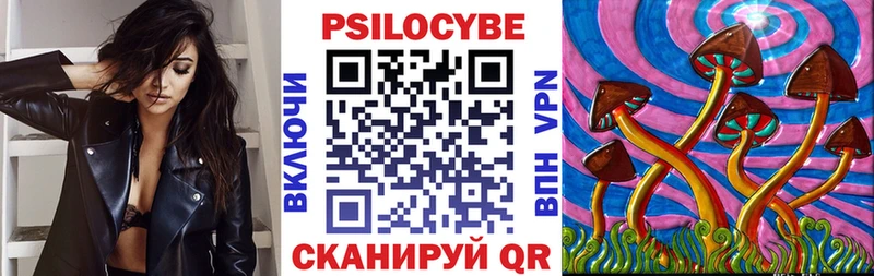 Галлюциногенные грибы Psilocybine cubensis  Звенигово 