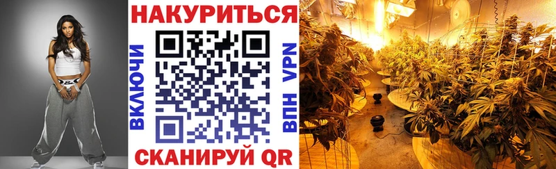 Марихуана OG Kush Звенигово